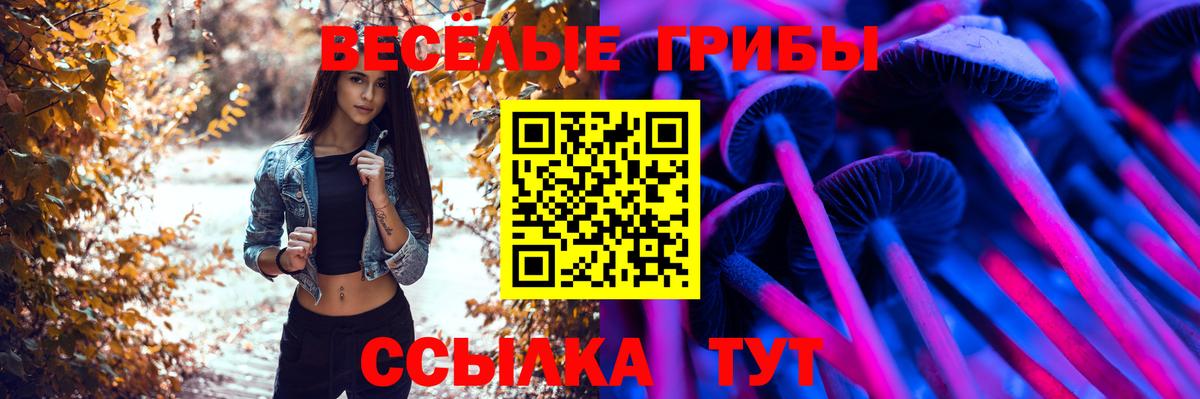 Галлюциногенные грибы GOLDEN TEACHER Воронеж